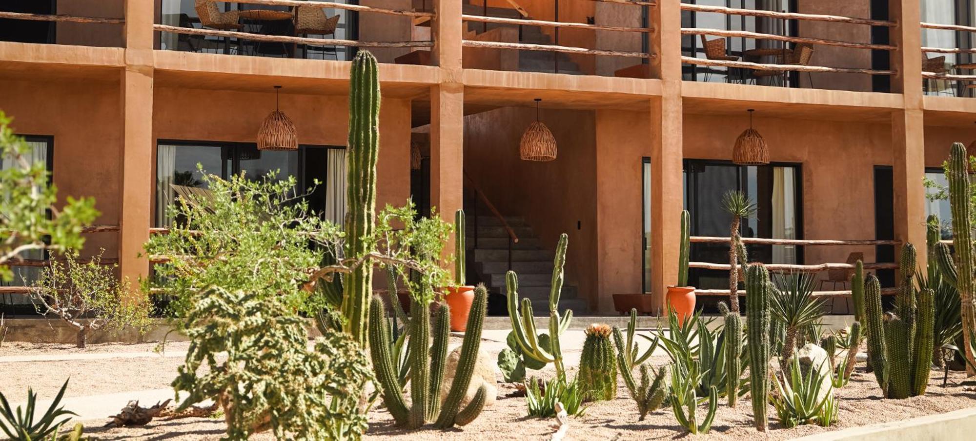 Hotel Baja Temple à Todos Santos Extérieur photo