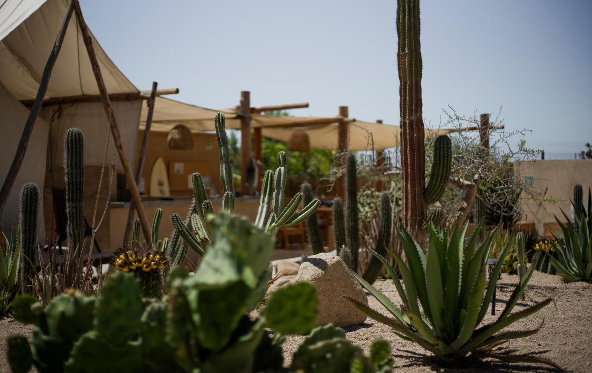 Hotel Baja Temple à Todos Santos Extérieur photo